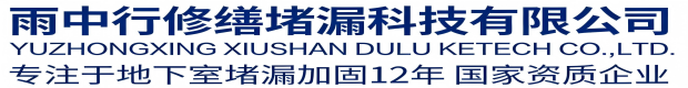 宣城雨中行修缮堵漏科技有限公司