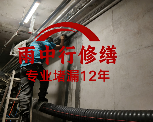 宣城管廊堵漏案例